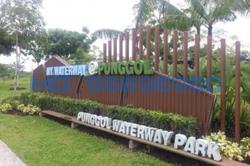 Blk 118 Edgefield Plains (Punggol), HDB Executive #85002412